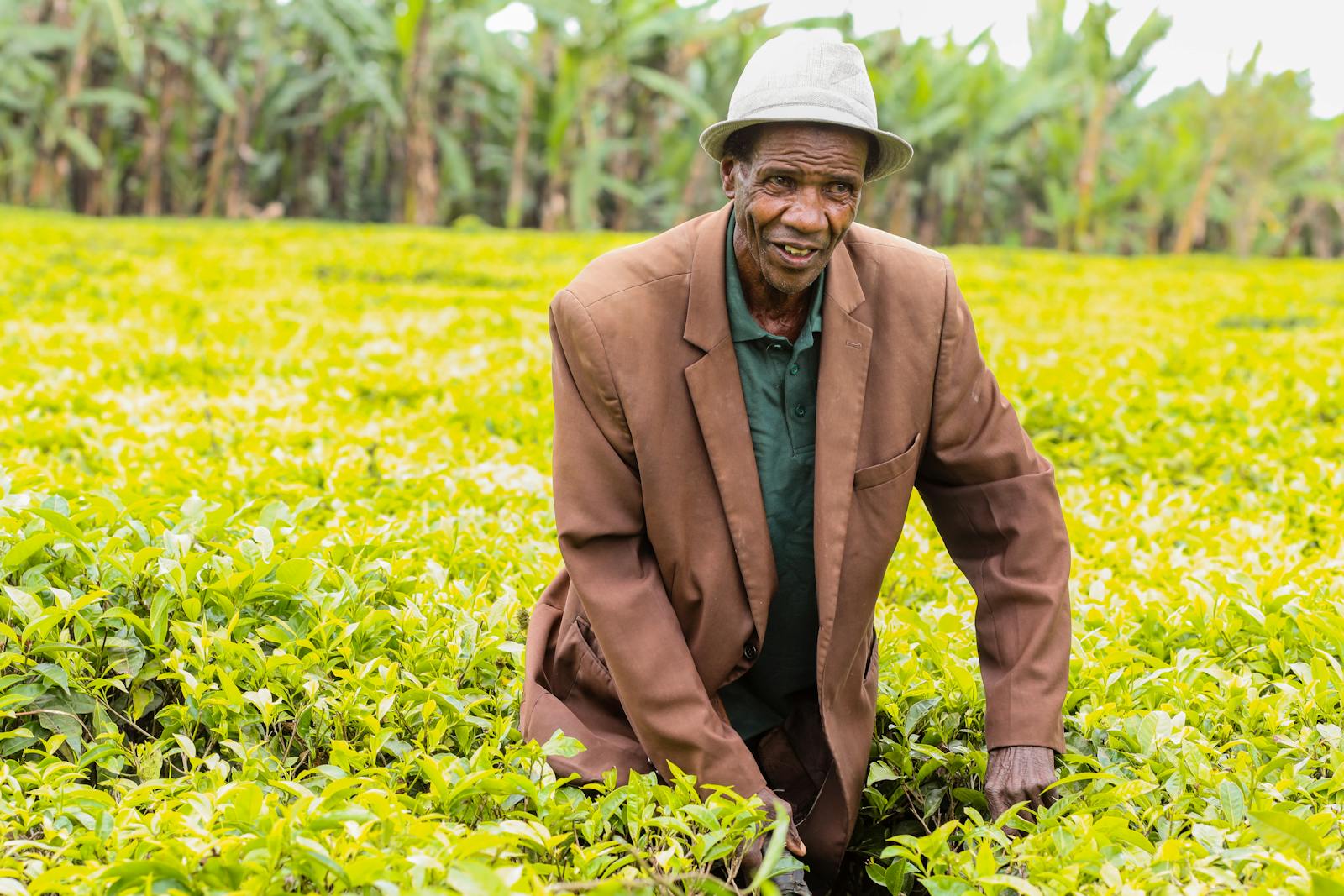 Tanzanian Farmer using Tablet